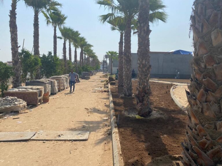 الزراعة والتشجير في الرياض | حلول متكاملة لصناعة مساحات خضراء مستدامة