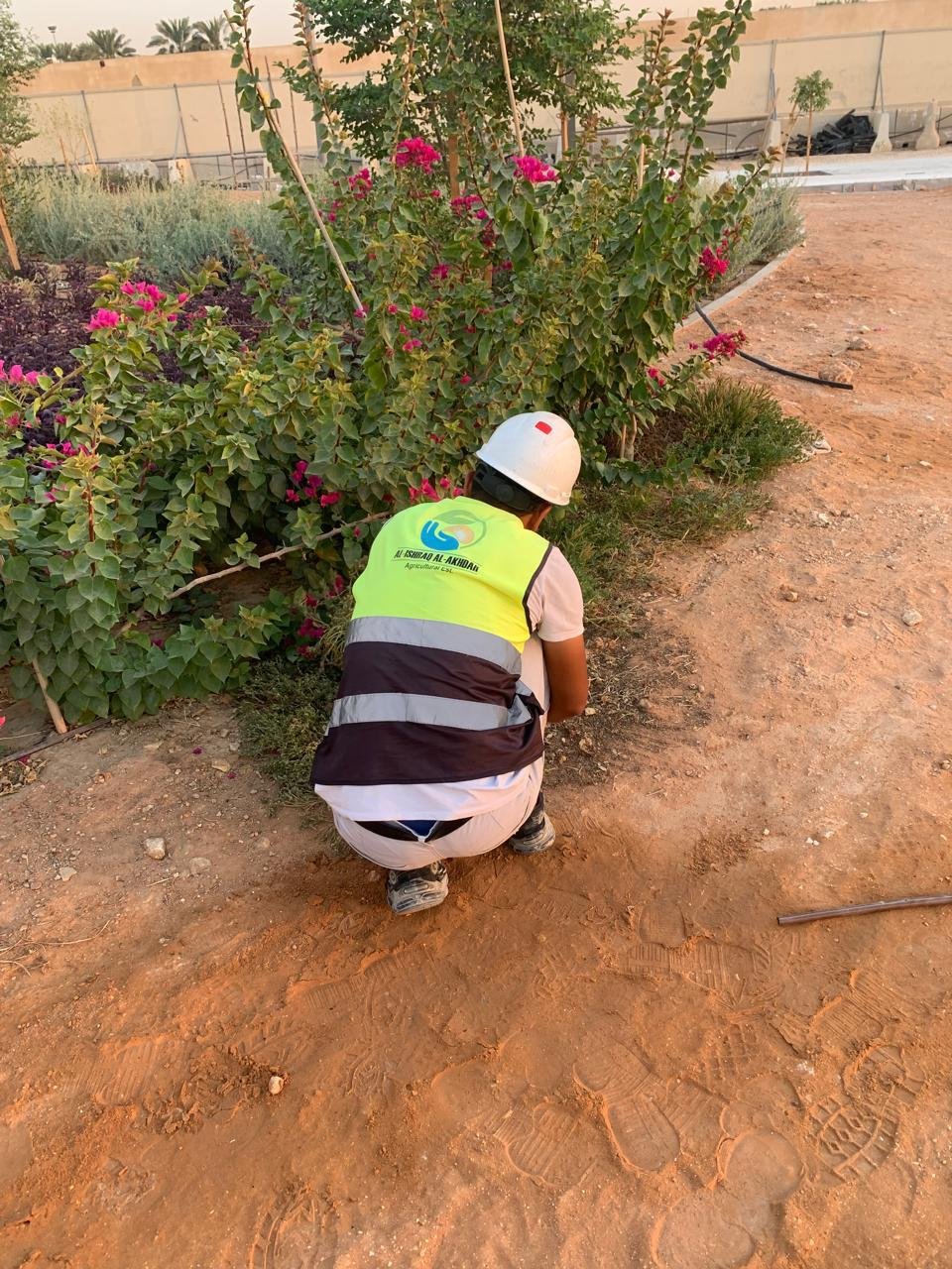 أعمال زراعية
